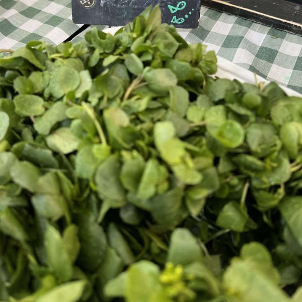 Fresh Watercress - Image 1